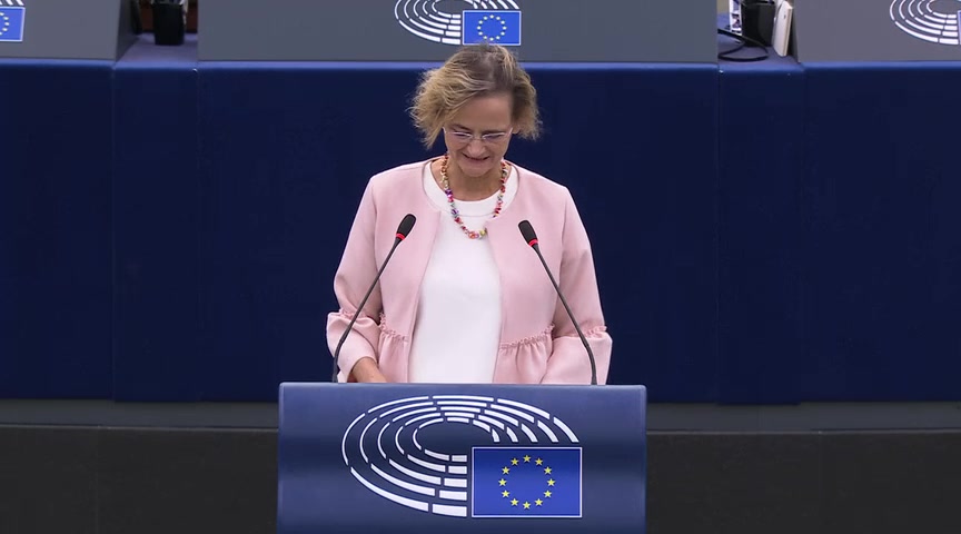 Council and Commission statements - EU-China Relations: MEPs debate part 2